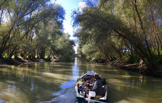 Resursa de pescuit in Delta Dunarii s-a redus cu 30%, afirma ministrul Agriculturii. Cine ia masuri?